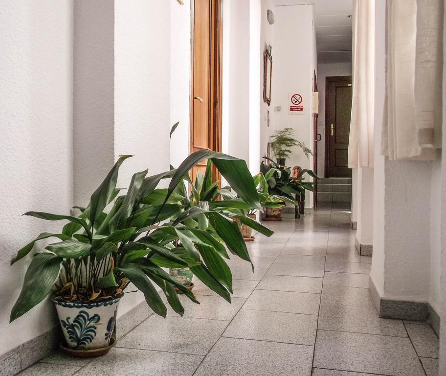 Pension Ciudad Navarro Ramos グラナダ エクステリア 写真